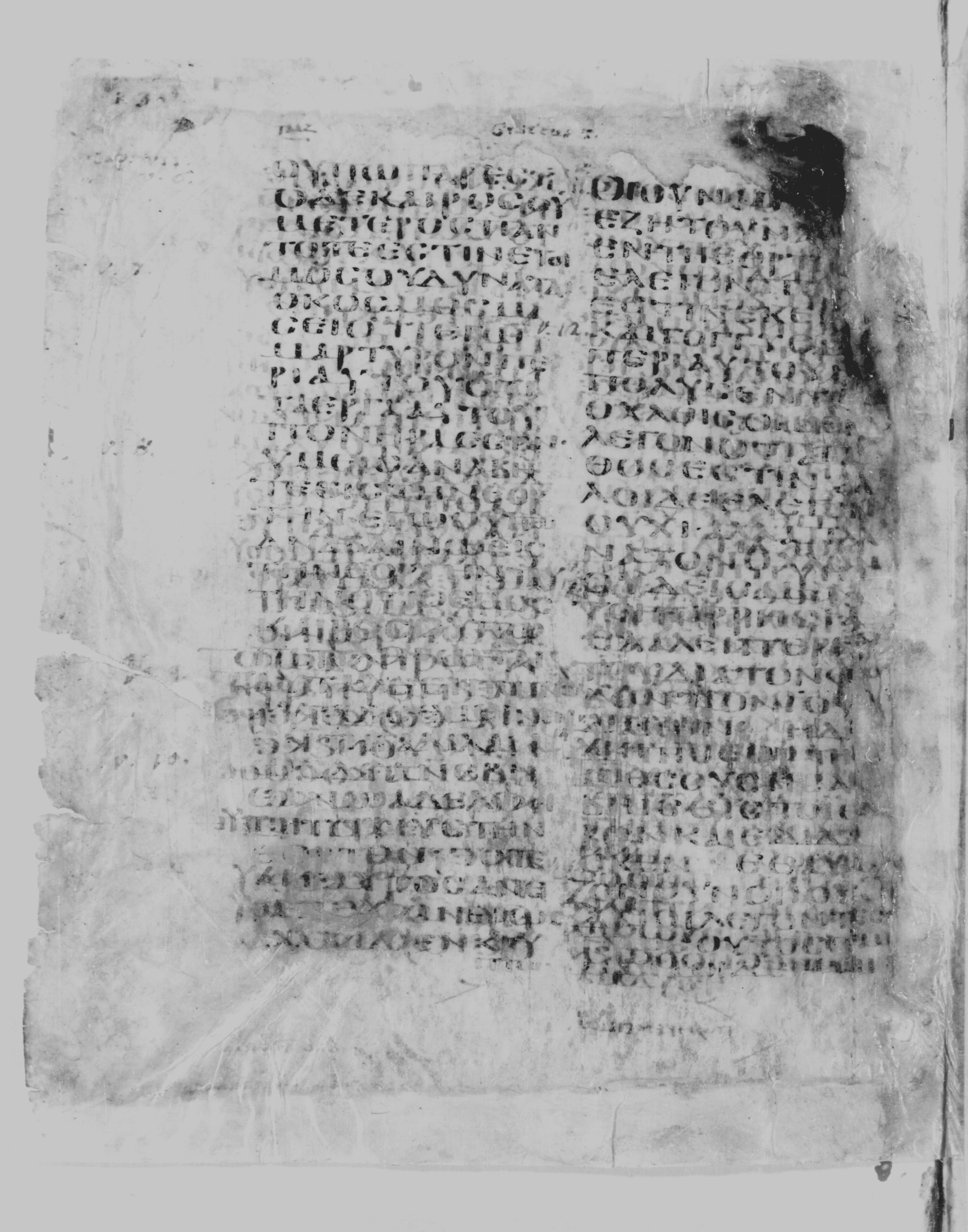 GA 029, лист 24, Оборотная сторона (verso)