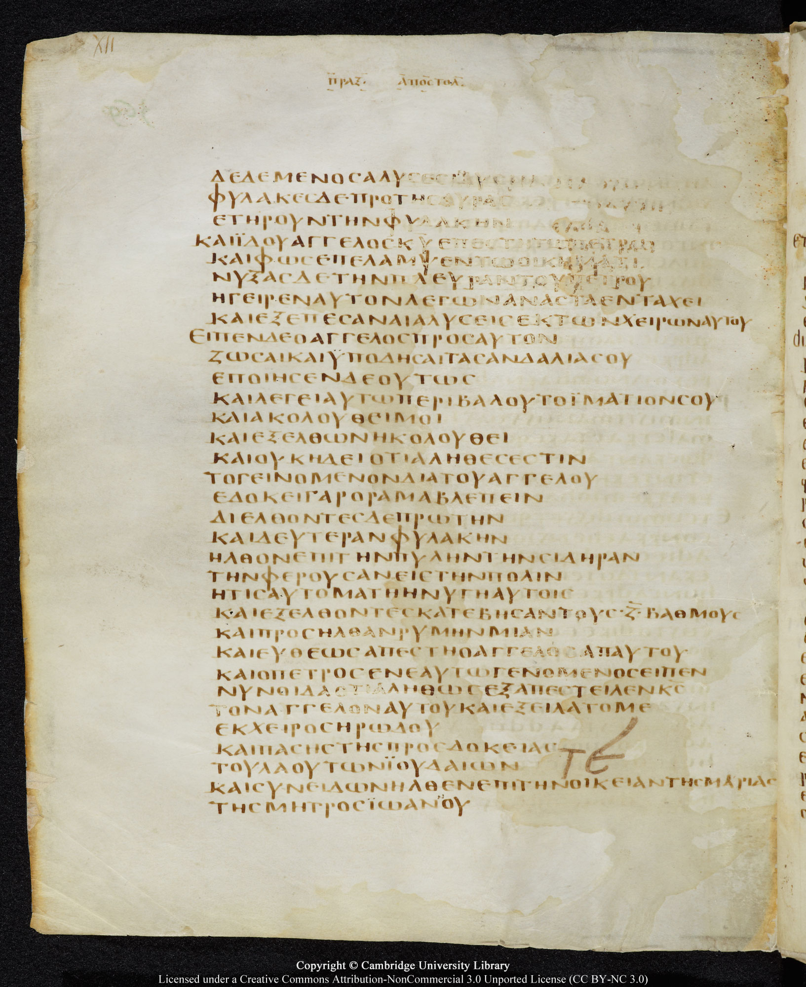 GA 05, лист 363, Оборотная сторона (verso)