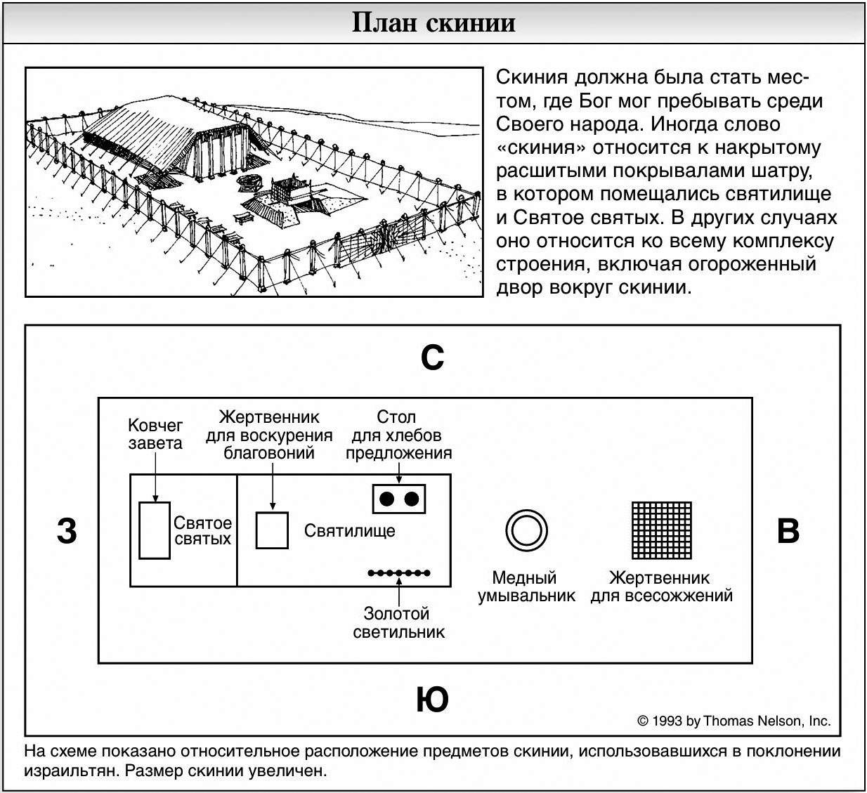 План скинии